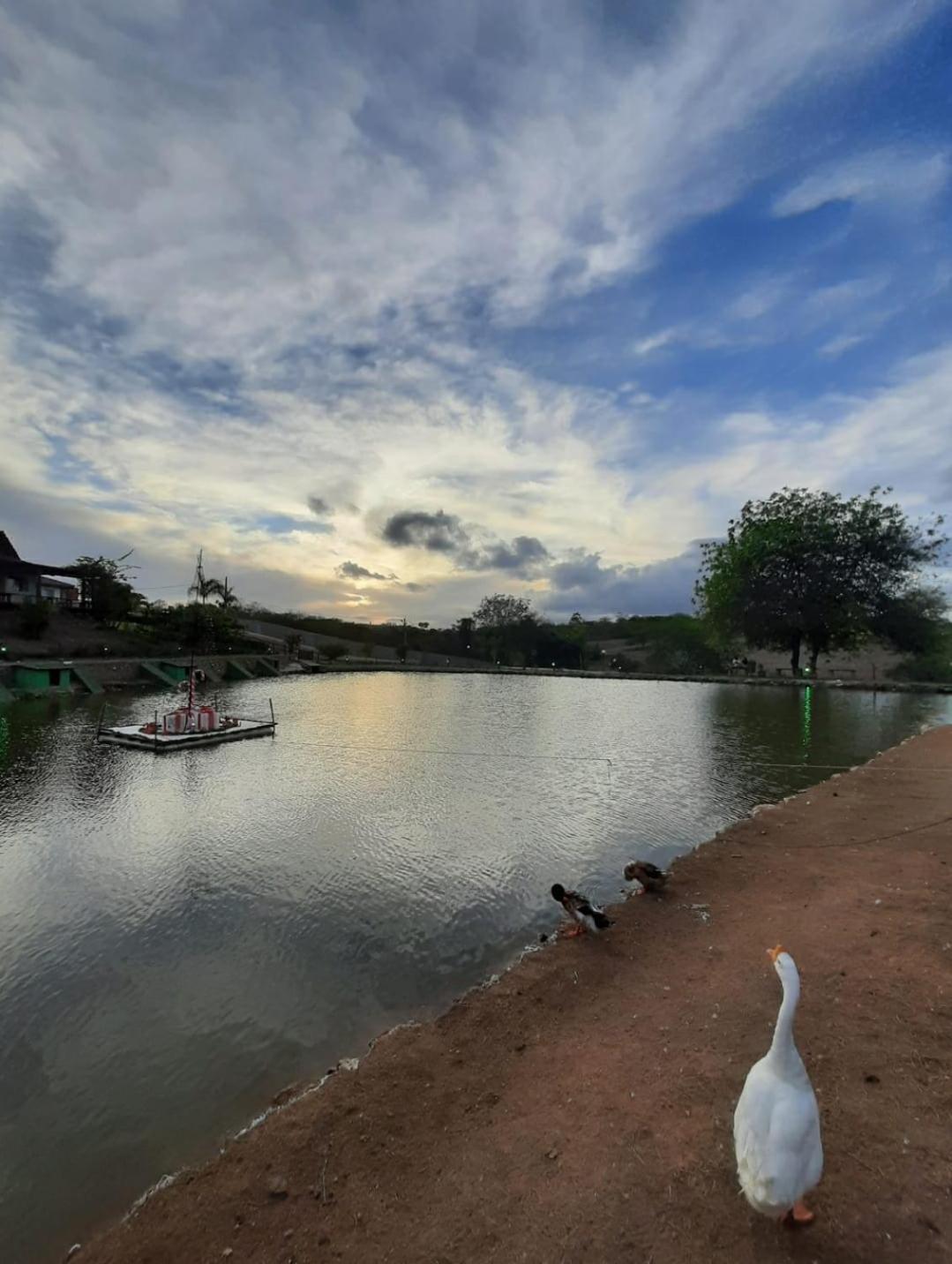 Flat Com Vista Magnifica! Winterville Pe Apartment *